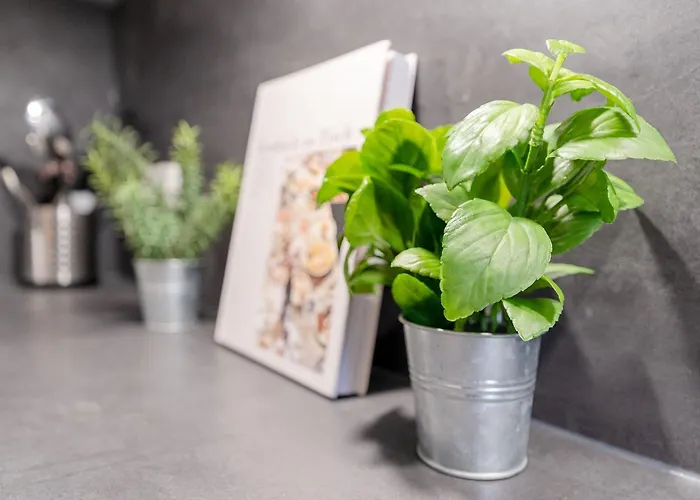 Montemare Ankerplatz Scharbeutz