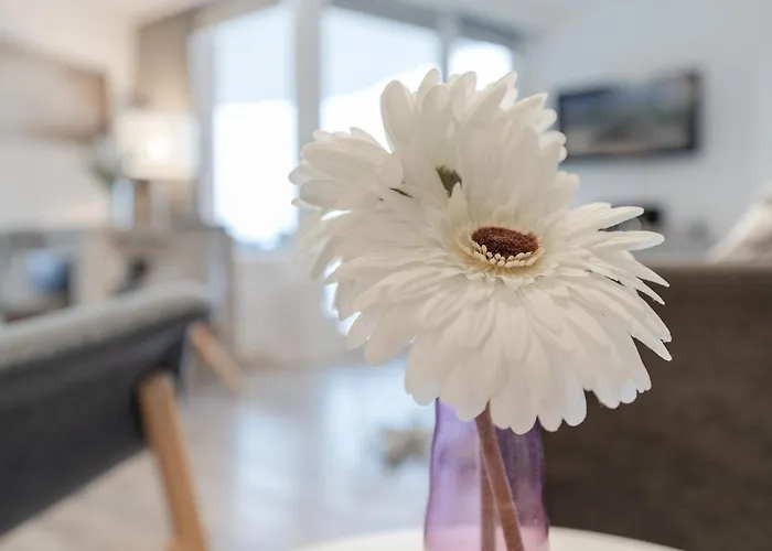 Montemare Ankerplatz Scharbeutz